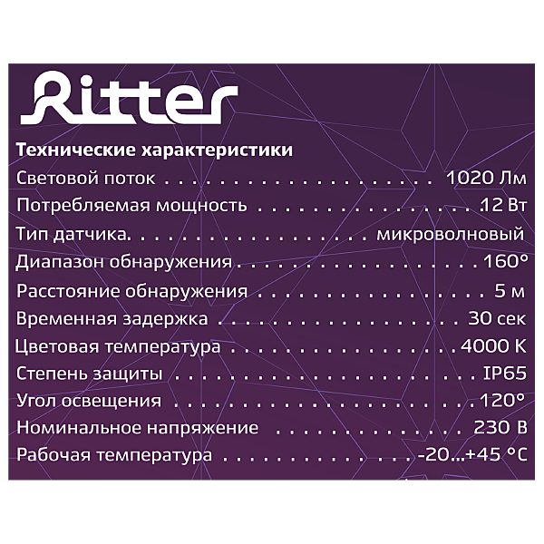 Настенный светильник Ritter 56029 6